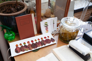 Bladeren in het atelier van Anne Geene in Den Haag, fotograaf: Thijs Gerbrandy